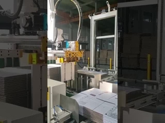 Karton için TAEMS robot paletizer sistemi